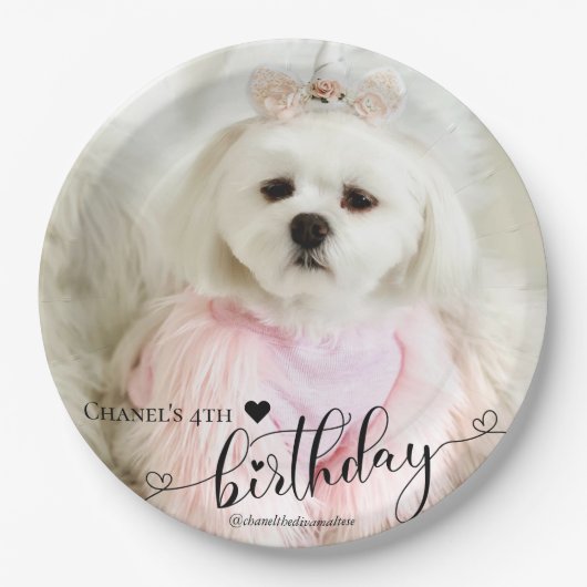 カスタムフォトペットドッグ誕生日タイポグラフィブラック ペーパープレート (正面)