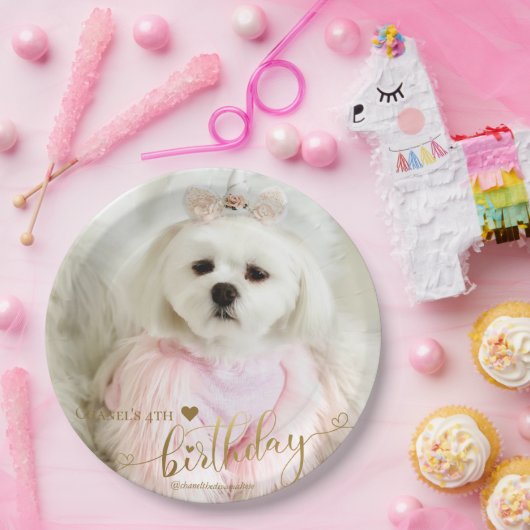 カスタムフォトペットドッグ誕生日タイポグラフィ金ゴールド ペーパープレート (パーティー)