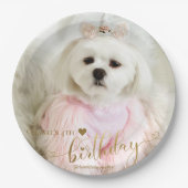 カスタムフォトペットドッグ誕生日タイポグラフィ金ゴールド ペーパープレート (正面)