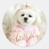 カスタムフォトペットドッグ誕生日タイポグラフィ金ゴールド ラウンドシール (正面)