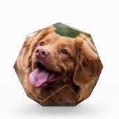 カスタムフォトペット記念犬写真ブロック フォトブロック (正面)