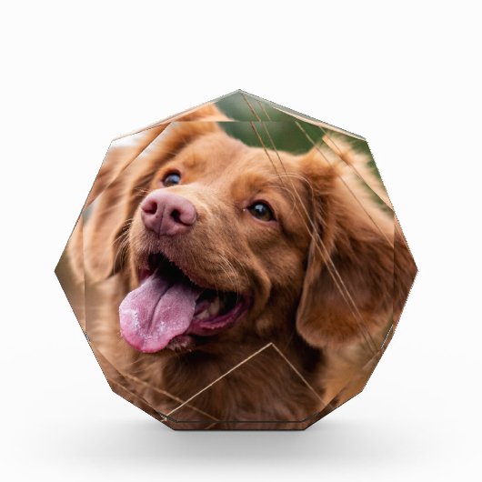 カスタムフォトペット記念犬写真ブロック フォトブロック (正面)