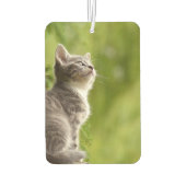 カスタムフォトペパーソナライズされたット カーエアーフレッシュナー (裏面)