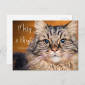 カスタムフォトメリーペットとブライトホリデーカード シーズンポストカード (正面/裏面)