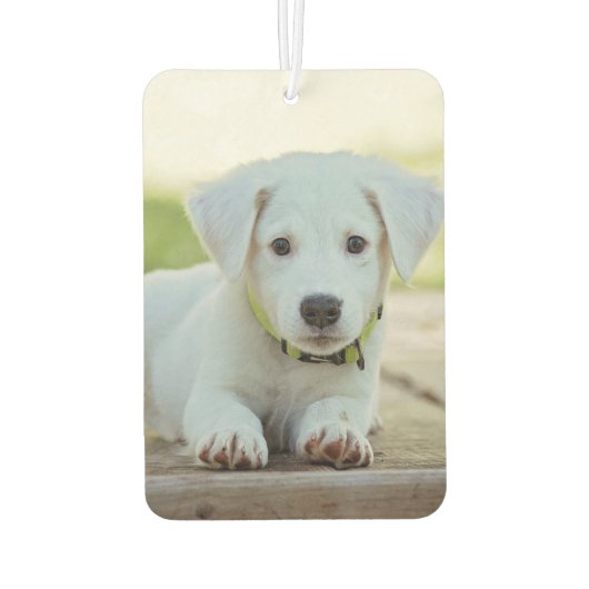 カスタムフォトユニークユーザーデザイン-ペットラブ- カーエアーフレッシュナー (裏面)