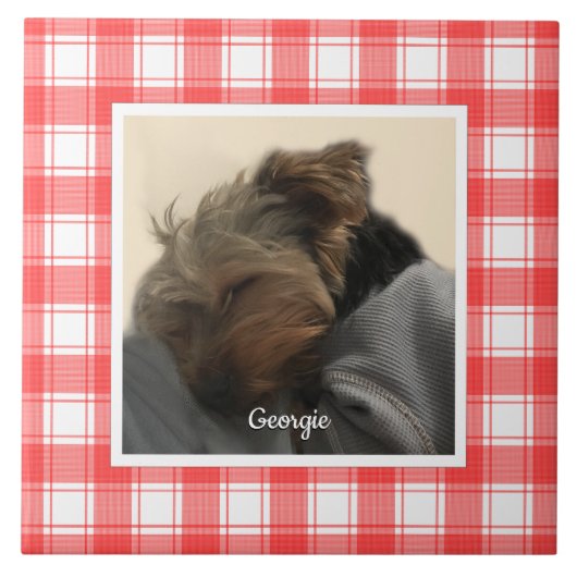 カスタムフォトレッド&ホワイトカントリーファームハウスプレイド タイル (正面)