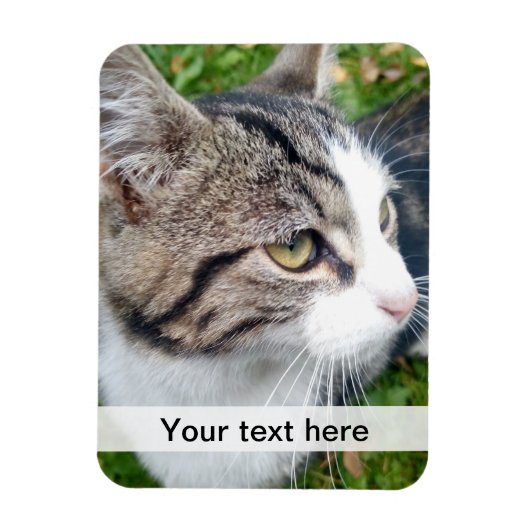 カスタムフォト磁石 |ここに画像をアップロードします マグネット (縦)