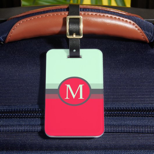 カスタムブライトブルーグレーPInk赤色ブロック ラゲッジタグ (正面インサイチュ2)