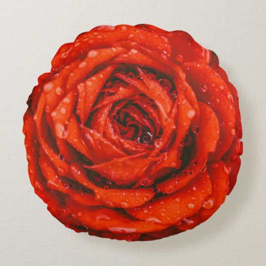 カスタムブラシ付きポリエステル丸装飾用クッション（16インチ） ラウンドクッション (正面)