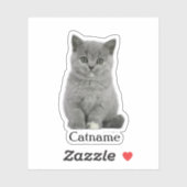 カスタムペットのシール、ダイカットビニル防水 シール (シート)