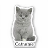 カスタムペットのシール、ダイカットビニル防水 シール (正面)