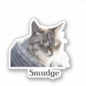 カスタムペットのステッカスタムク、ドッグのステッカスタムク、猫 シール (正面)