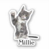 カスタムペットのステッカスタムク、ドッグのステッカスタムク、猫 シール (正面)