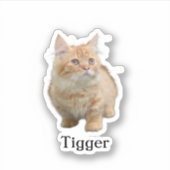 カスタムペットのステッカスタムク、ドッグのステッカスタムク、猫 シール (正面)