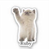 カスタムペットのステッカスタムク、ドッグのステッカスタムク、猫 シール (正面)