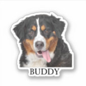 カスタムペットのステッカスタムク、ドッグのステッカスタムク、猫 シール (正面)