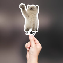 カスタムペットのステッカスタムク、ドッグのステッカスタムク、猫