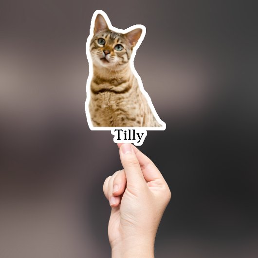 カスタムペットのステッカスタムク、ドッグのステッカスタムク、猫 シール