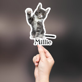 カスタムペットのステッカスタムク、ドッグのステッカスタムク、猫 シール
