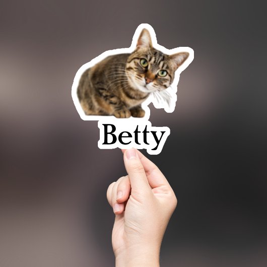 カスタムペットのステッカスタムク、ドッグのステッカスタムク、猫 シール