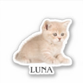 カスタムペットのステッカスタムク、ドッグのステッカスタムク、猫 シール (正面)