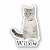 カスタムペットのステッカスタムク、ドッグのステッカスタムク、猫 シール (正面)