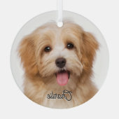カスタムペットの写真と名前クリスマスホリデーグラス ガラスオーナメント (裏面)