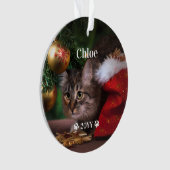 カスタムペットの写真の名前と年休 オーナメント (正面)