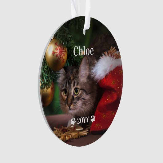 カスタムペットの写真の名前と年休 オーナメント (正面)