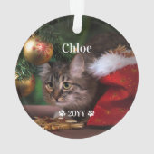 カスタムペットの写真の名前と年休 オーナメント (裏面)
