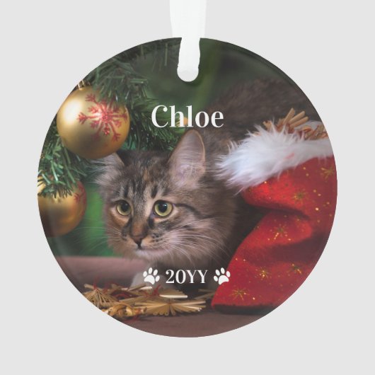 カスタムペットの写真の名前と年休 オーナメント (裏面)