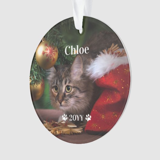 カスタムペットの写真の名前と年休 オーナメント (正面)