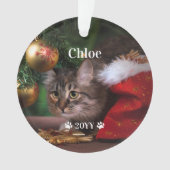 カスタムペットの写真の名前と年休 オーナメント (正面)