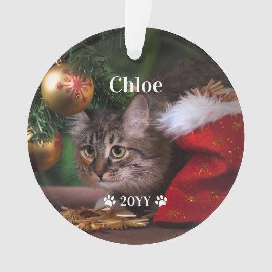 カスタムペットの写真の名前と年休 オーナメント (正面)