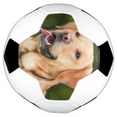 カスタムペットの写真パーソナライズされた サッカーボール (回転)