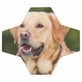 カスタムペットの写真パーソナライズされた サッカーボール (フラット)