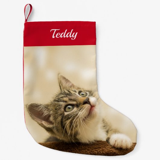 カスタムペットの写真パーソナライズされた スモールクリスマスストッキング (正面)