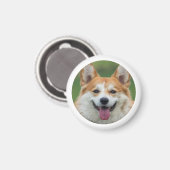 カスタムペットの写真パーソナライズされた マグネット (正面/裏面)