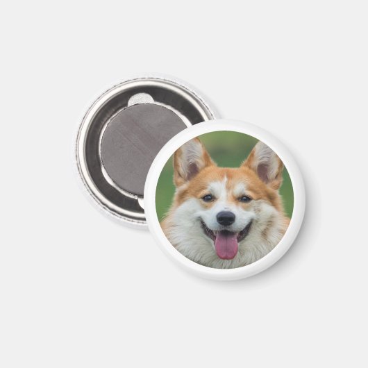 カスタムペットの写真パーソナライズされた マグネット (正面/裏面)