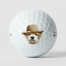 カスタムペットの写真モダンパーソナライズされた