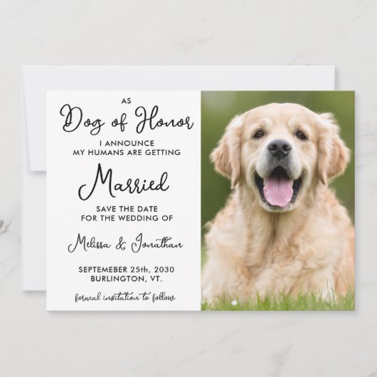 カスタムペットの写真私の人間は結婚している犬 セーブザデート (正面)