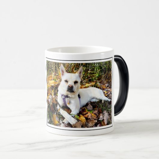 カスタムペットの写真、名前愛犬家おもしろい モーフィングマグカップ (正面右)