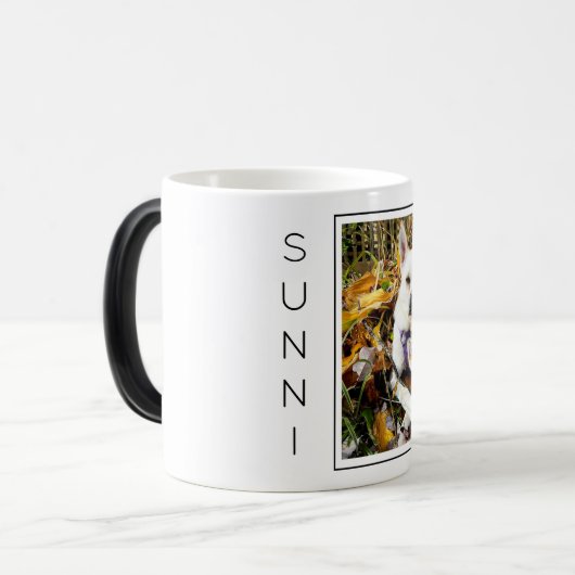 カスタムペットの写真、名前愛犬家おもしろい モーフィングマグカップ (正面左)