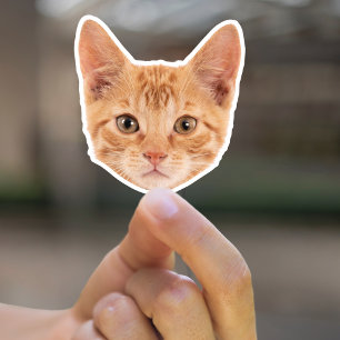 カスタムペットステッカーカスタム猫ステッカーカスタム犬 シール