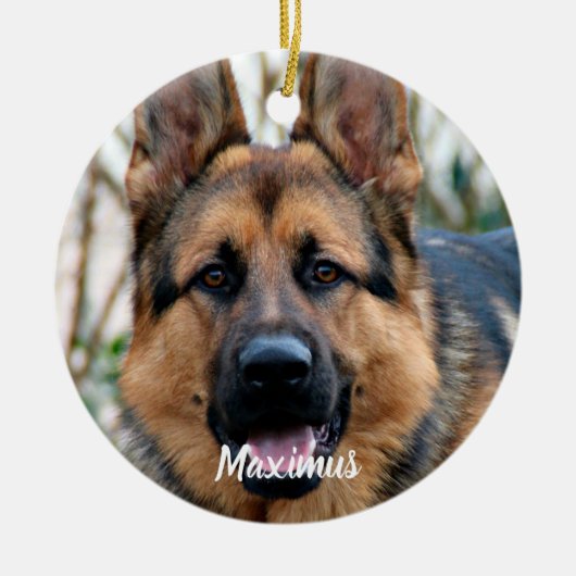 カスタムペットドッグ記念虹の橋 セラミックオーナメント (正面)