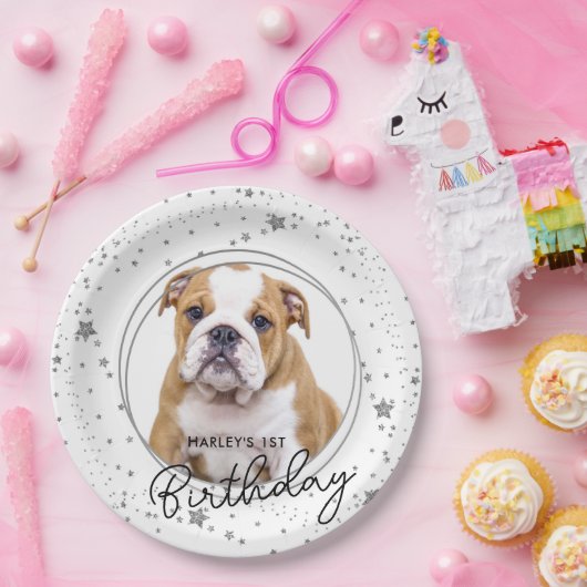 カスタムペットフォトシルバーグリッタースターズドッグ誕生日 ペーパープレート (パーティー)
