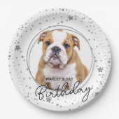 カスタムペットフォトシルバーグリッタースターズドッグ誕生日 ペーパープレート (正面)