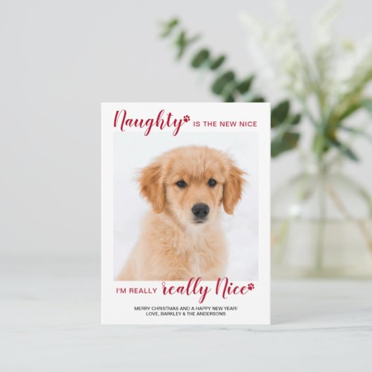 カスタムペットフォトナウトニースおもしろい犬クリスマス シーズンポストカード (スタンド正面)