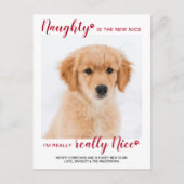 カスタムペットフォトナウトニースおもしろい犬クリスマス シーズンポストカード (正面)