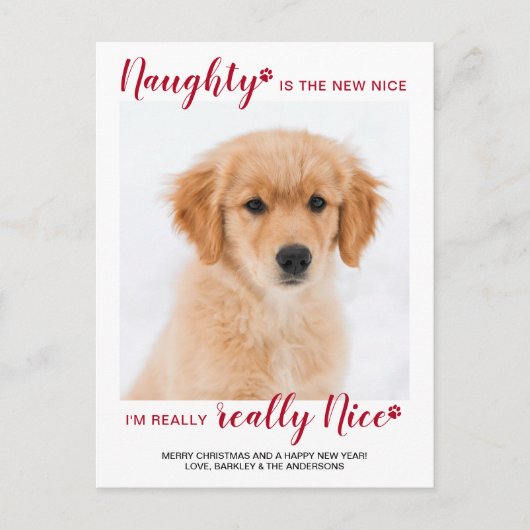 カスタムペットフォトナウトニースおもしろい犬クリスマス シーズンポストカード (正面)